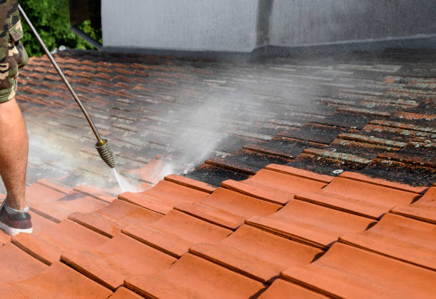 Best Power Washing Near Me  in Shady Side, MD