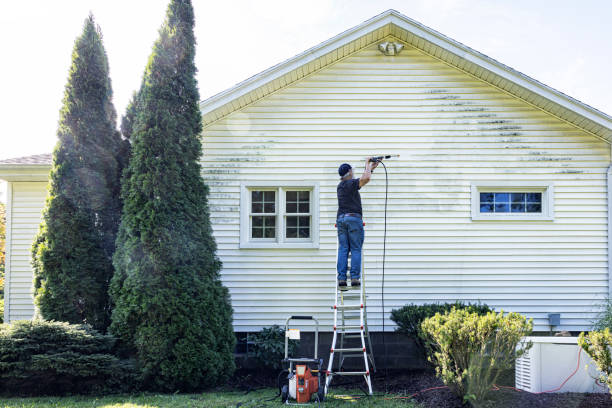 Best Roof Pressure Washing  in Shady Side, MD